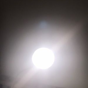 Meet your Posher, Oliver